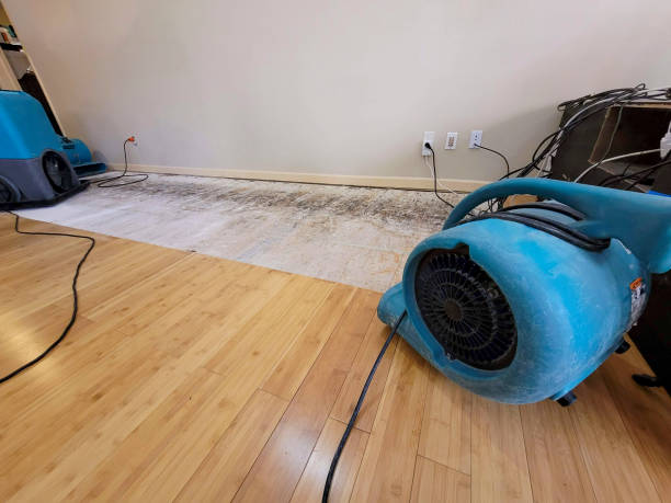 Professional Emergency Water Damage technician working in Coeymans Hollow, NY